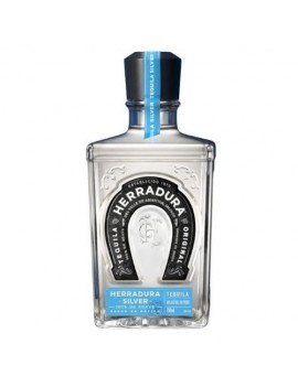 HERRADURA PLATA